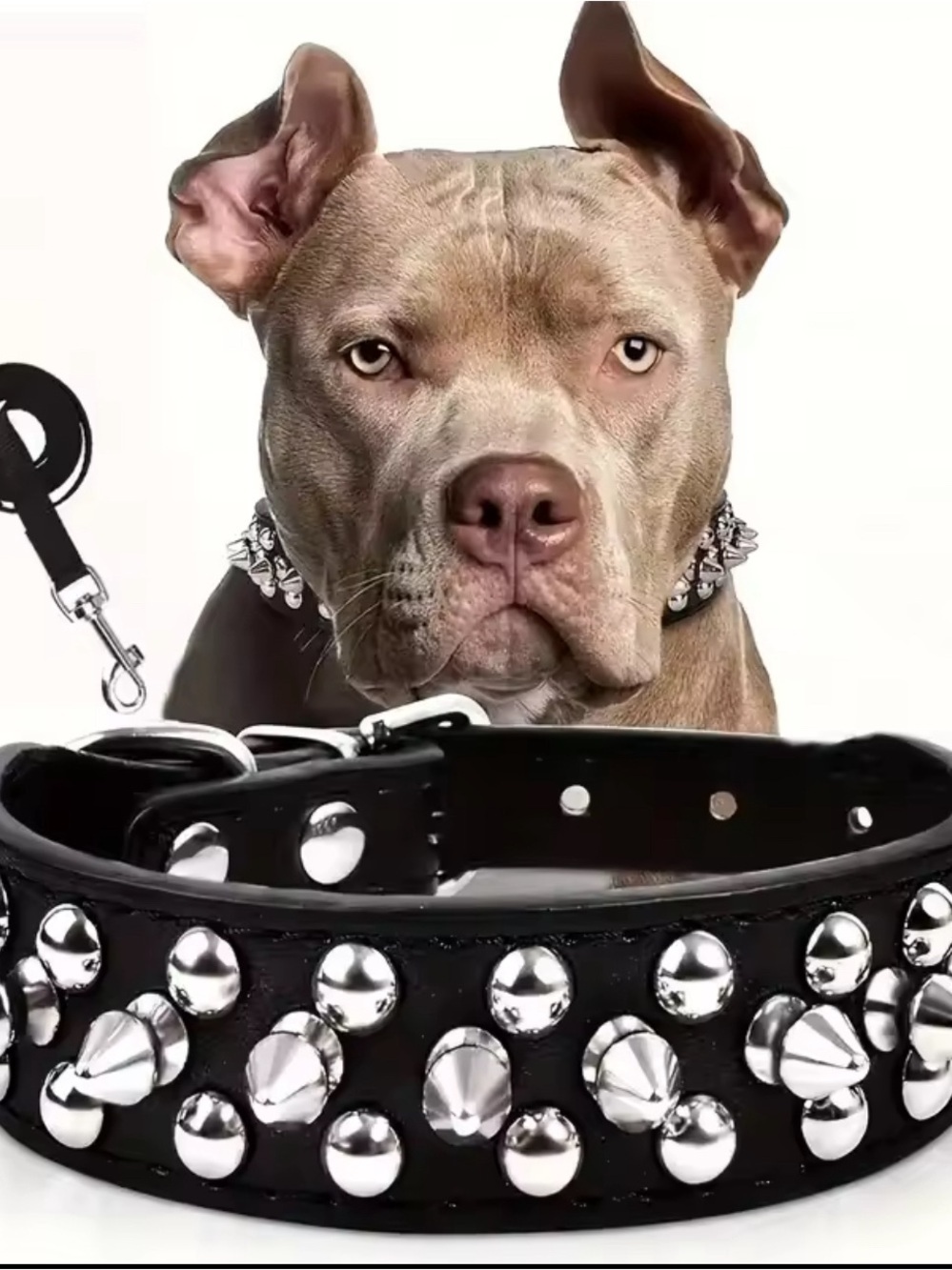 Premium Black Studded Leather Dog Collar with Silver Spikes